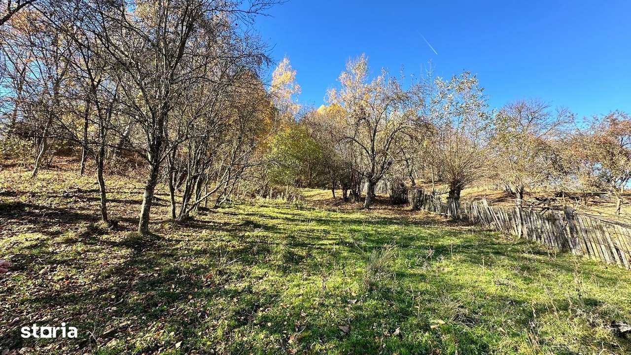 Teren 4044mp, 18 km de Campina, asfalt, utilitati, pretabil investitie - Imagine principală: 3/4