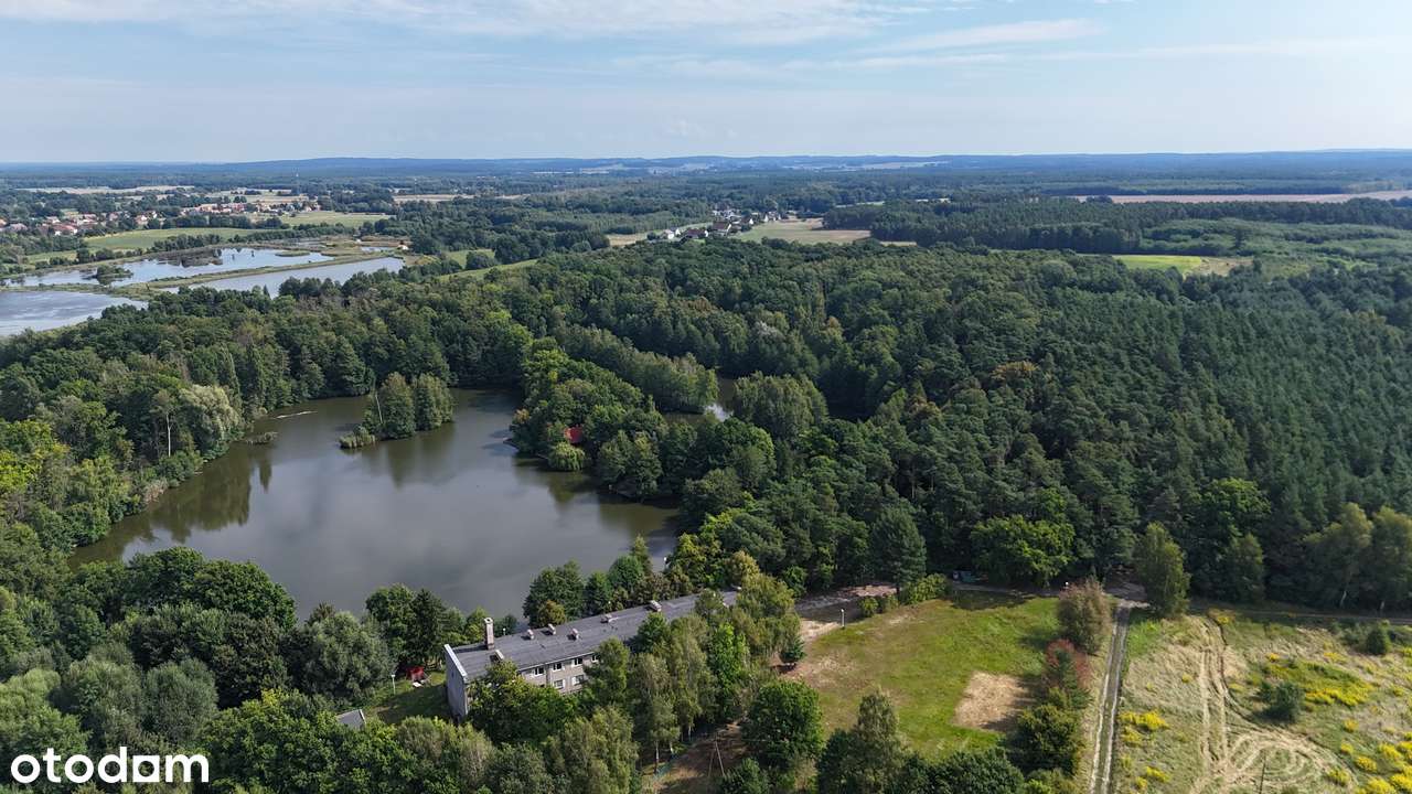 Kompleks działek rekreacyjnych w środku lasu | od 500 m2-12