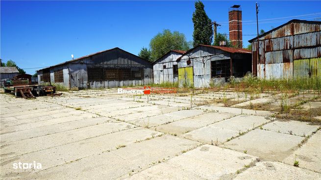 Teren industrial de vanzare – 4.659 mp + optional 1.000 mp – Suplacu d-6