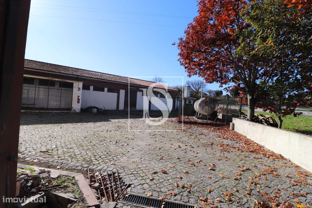 Armazém  Venda em Barcelos, Vila Boa e Vila Frescainha (São Martinho e - Grande imagem: 3/10