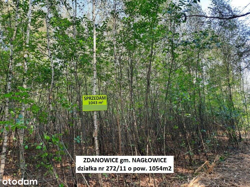 Tania działka rekreacyjna 1054m2 (plan) cena 54.900zł (f-ra 23% VAT)-14