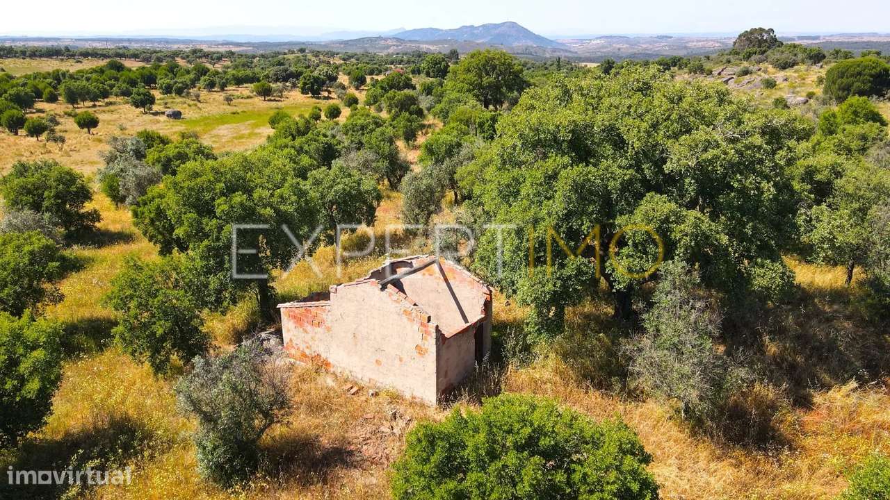 Terreno com 10500 m2 - 2 furos e uma charca - Nisa - Grande imagem: 3/14