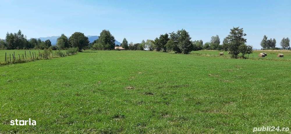 Teren 9350 mp Bran Livada, Extravilan - Imagine principală: 5/6