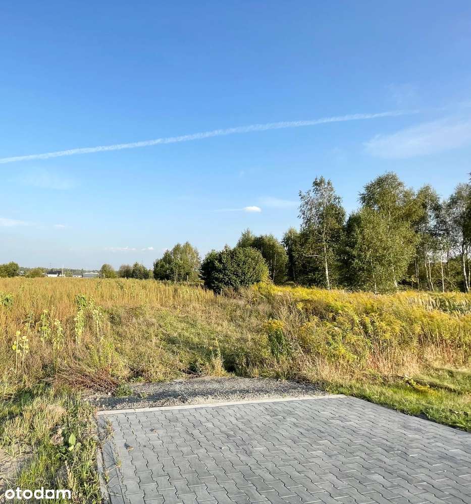 Działka w świetnej lokalizacji- Chełm Śląski. - Pełny obrazek: 4/4