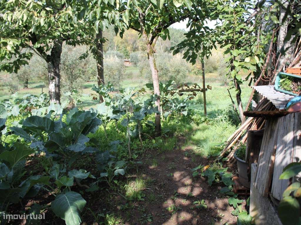 Terreno rústico na zona da Vila de Arganil com uma localização de e... - Grande imagem: 5/12
