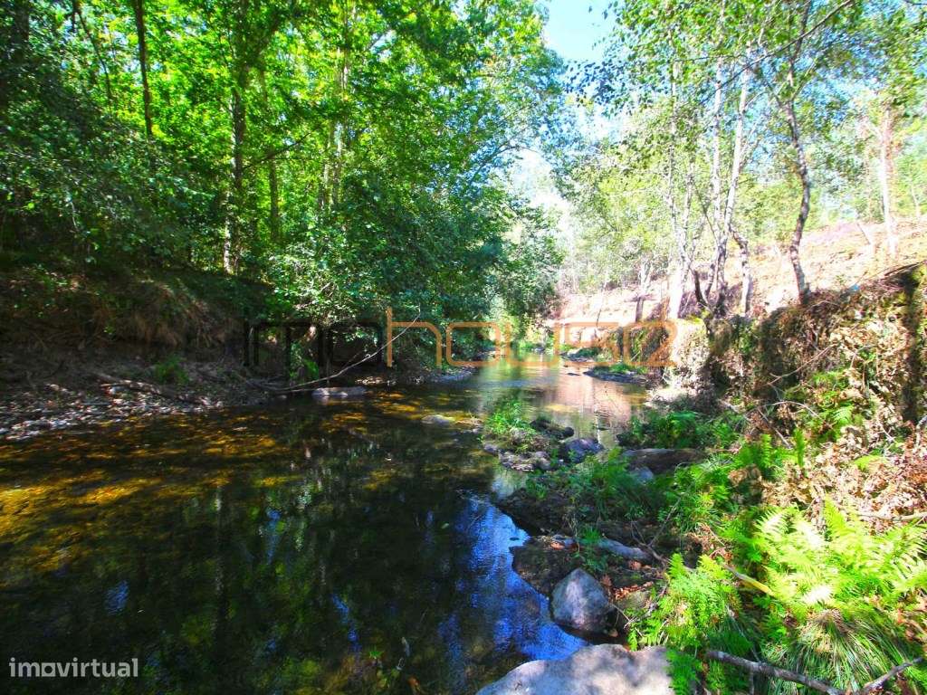 Quinta Isolada com Margem de Rio e Potencial de Eco-Retiro - Arouca-47