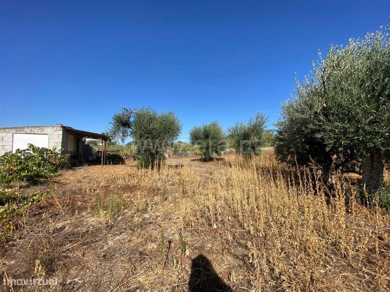 Terreno Agrícola Fundão - Grande imagem: 3/8