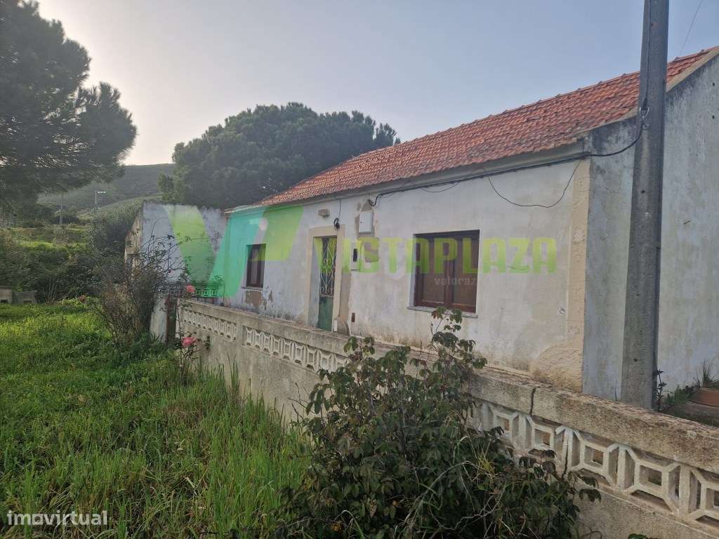 Quinta com 14 Hectares com Casa, Armazém e Duas Ruínas - Grande imagem: 4/11