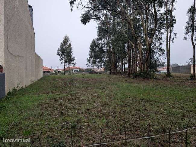 Terreno, 1 800 m², Monte-2