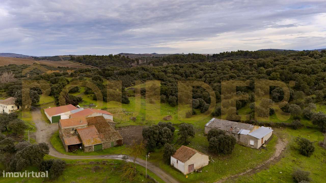 Quinta do Arieiro - Cedovim | Vila Nova de Foz Côa | Douro Superior-26