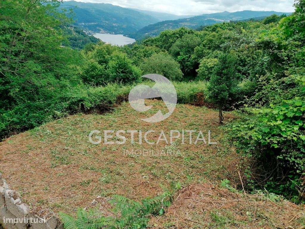 Quinta com vistas para o Douro - Grande imagem: 5/29