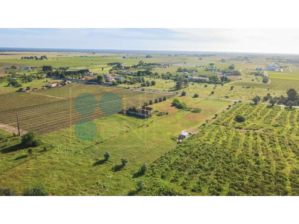 Quintinha com 6.688m ² e ruína para reconstrução | Arraiados, Pinha...-13