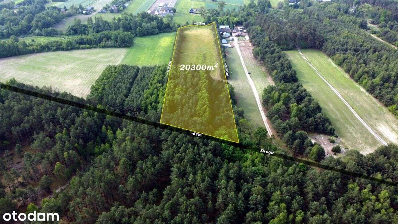 Piękna częściowo zadrzewiona działka rolna. - Pełny obrazek: 4/6