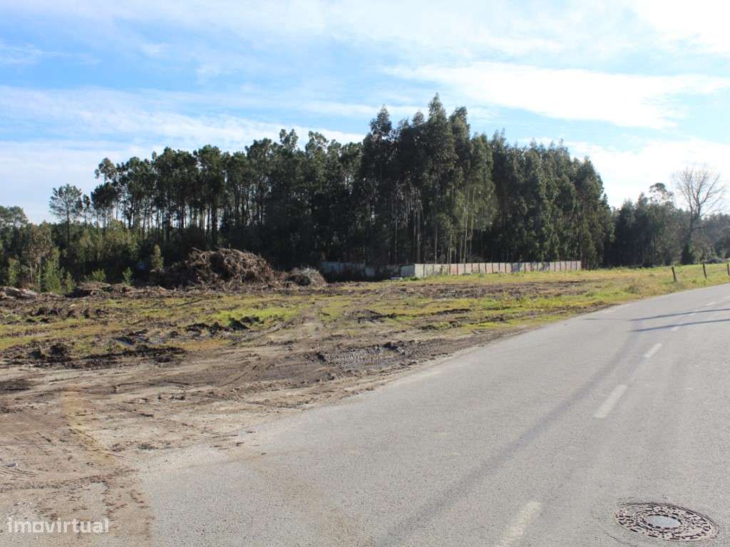 Terreno - Grande imagem: 3/4