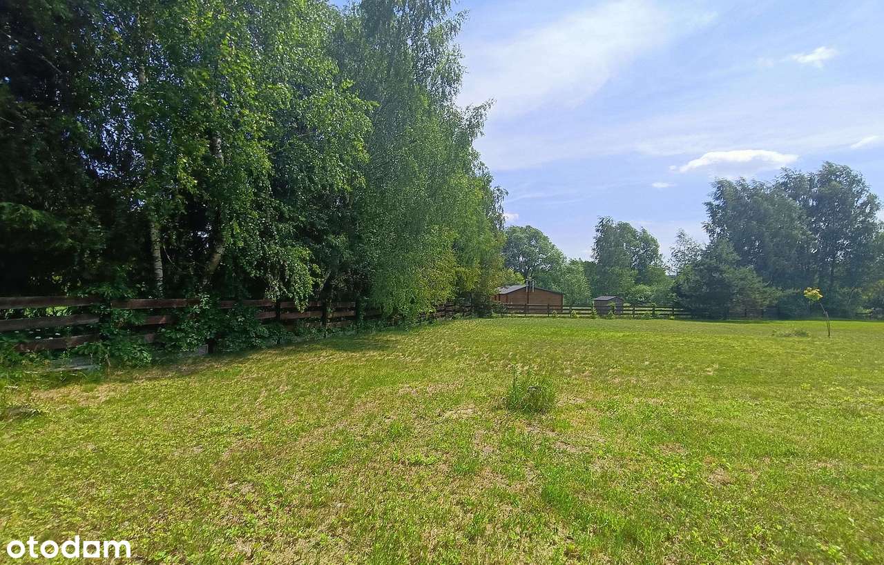 Działka 2000 m2, Krasnobród, Roztocze - Pełny obrazek: 5/18