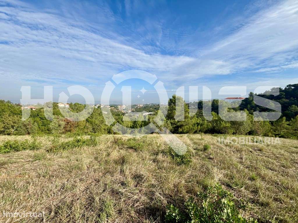 Terreno | Urbano | Excelentes Acessos | Vistas Panorâmicas-19