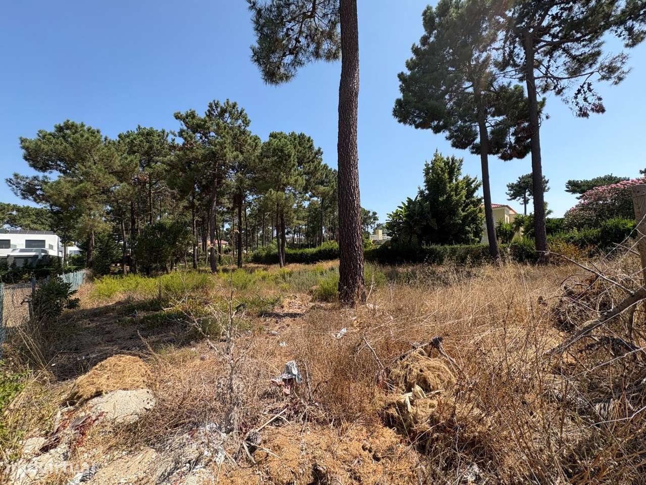 Lote com Projecto Aprovado na Herdade da Aroeira - Grande imagem: 3/9