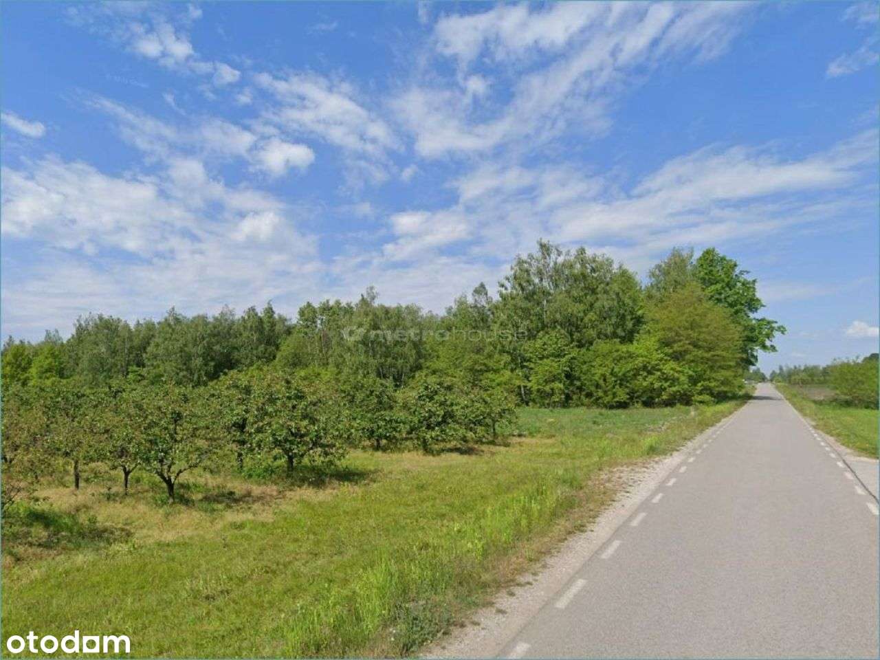 Działka siedliskowa 1,1 ha blisko trasy S8 - Pełny obrazek: 4/6