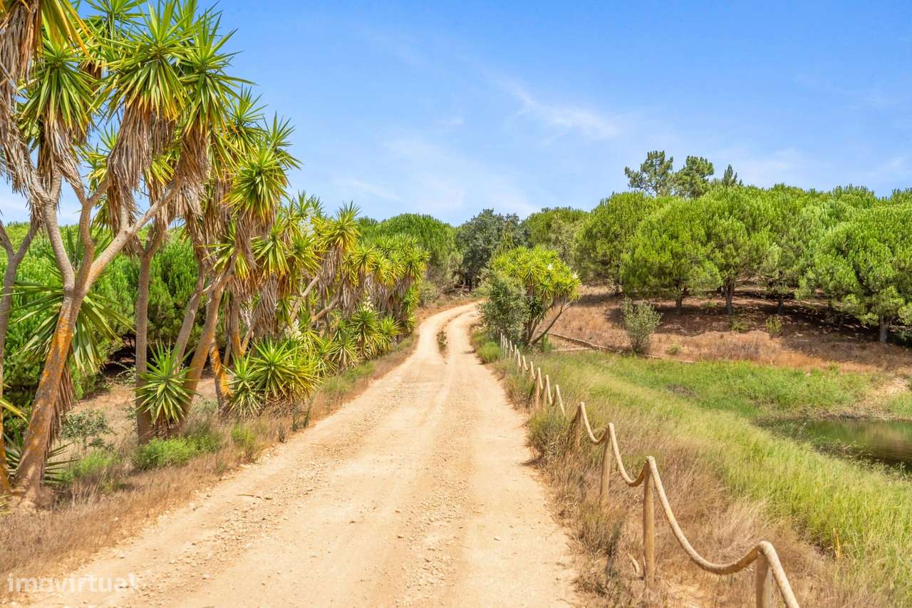 Herdade com moradia T4+1, piscina e lago-44