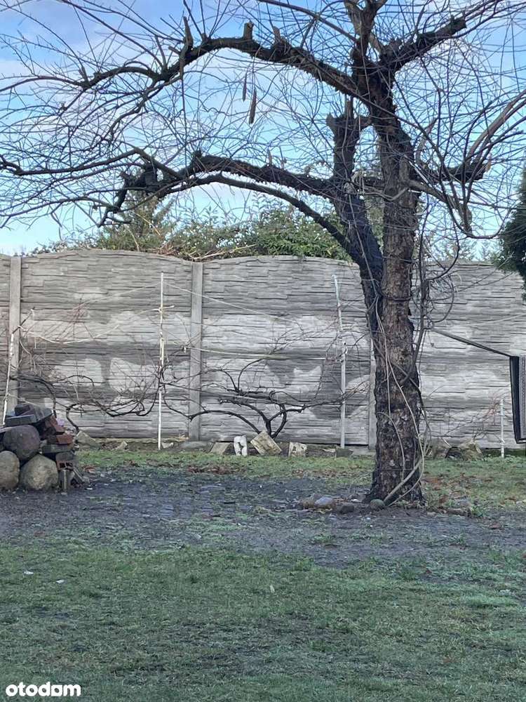 Przestronny dom z garażem w zielonej okolicy - Pełny obrazek: 3/20