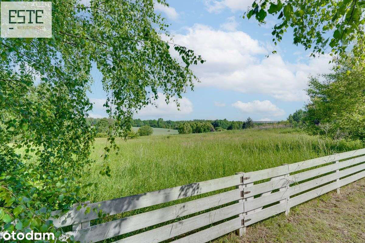 W strefie komfortu i natury-4