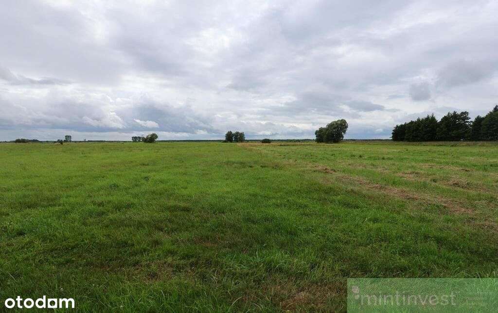 Działka rolna w Żarnowie 3,31 ha, gmina Stepnica-3
