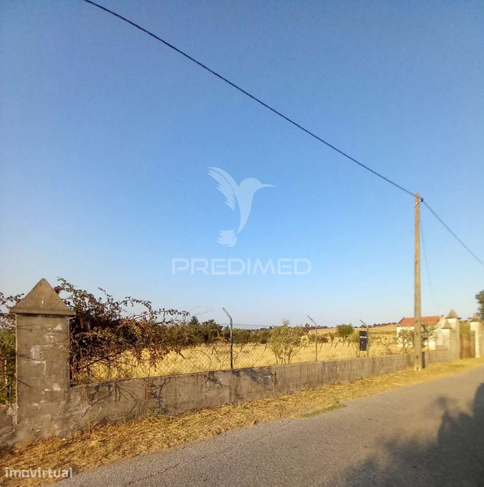 Terreno Rústico - Grande imagem: 4/4