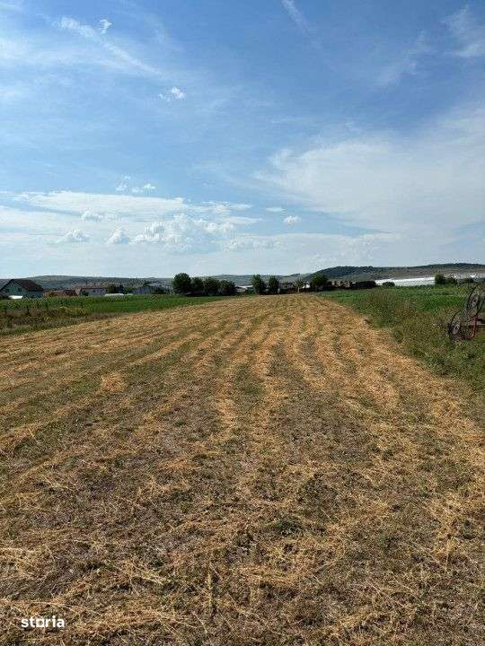 Teren Intravilan de vanzare,5800 mp in Jucu de Mijloc - Imagine principală: 1/2