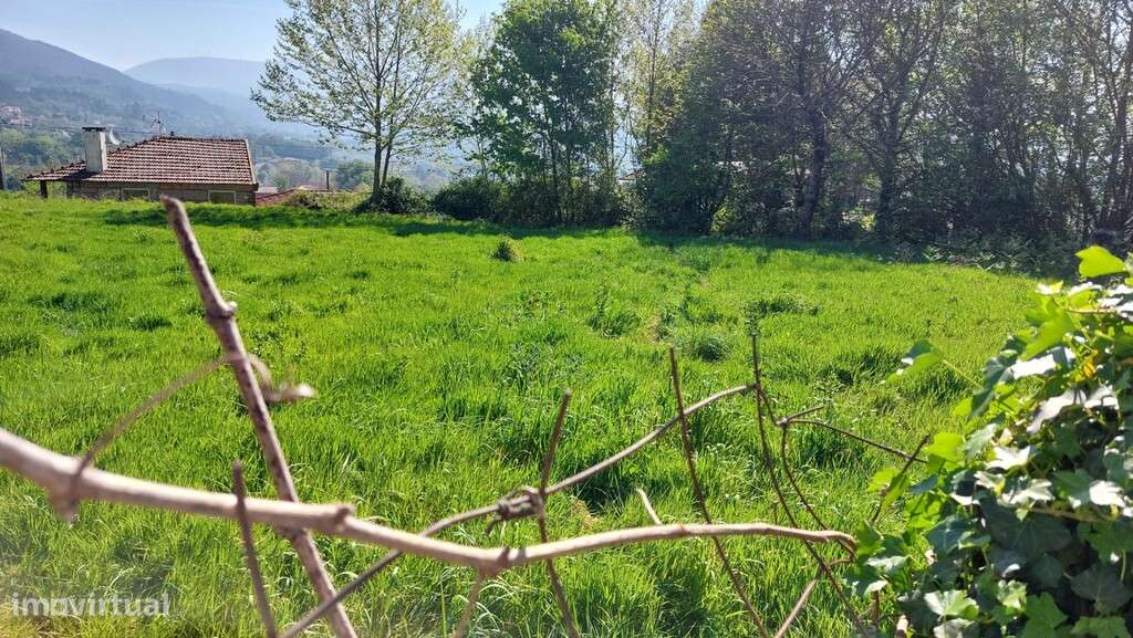 Duas moradias em pedra p/ restauro e terreno - Eira Vedra-13