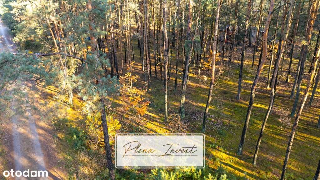 Piękny las | prywatność | plan zagospodarowania-8