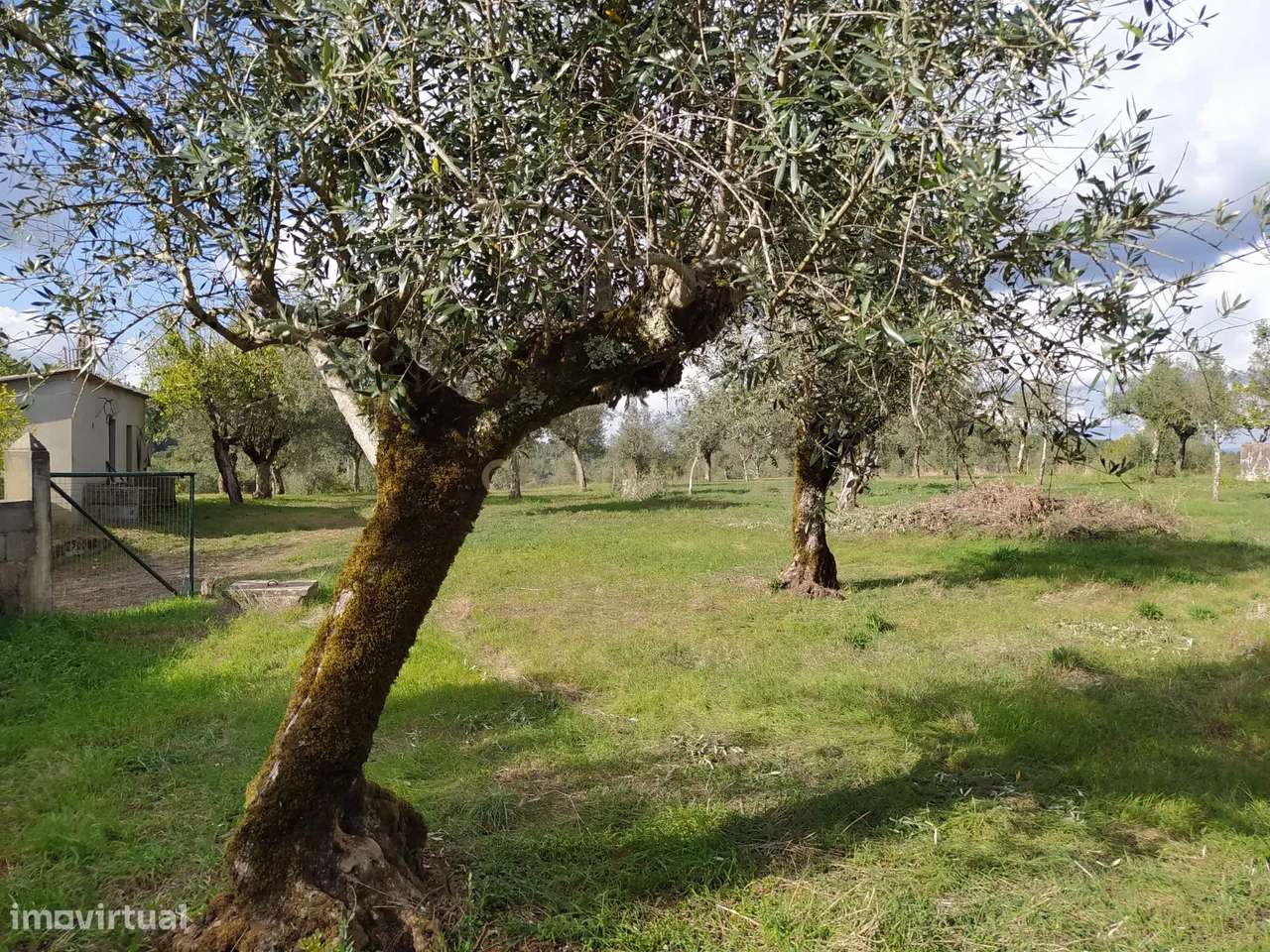 Terreno 4590M2 em Alvaiázere - Grande imagem: 4/9