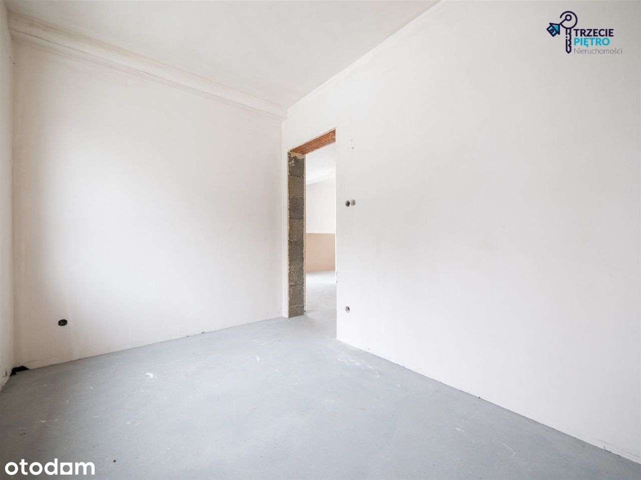 100M2|Las|435M2 Działki|Nowy-8