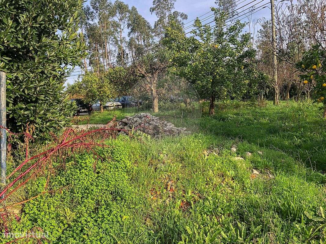 Investimentos  para venda-19