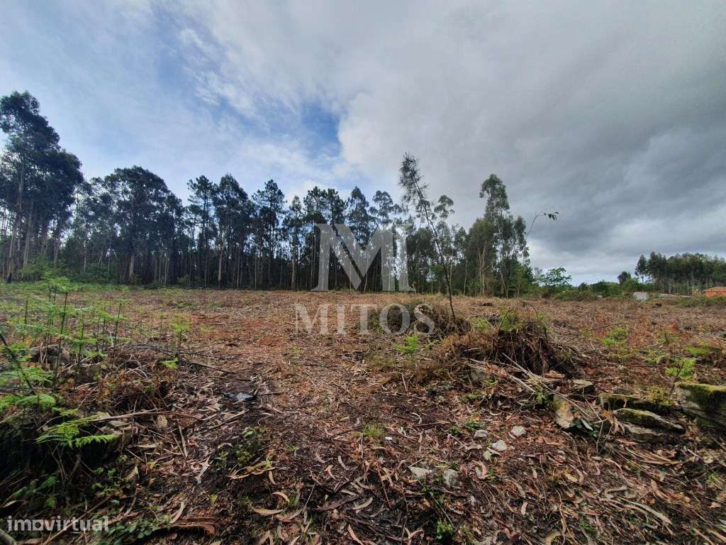 Terreno Aplanado Zona Industrial - Vila de Punhe/Barroselas - Grande imagem: 5/7
