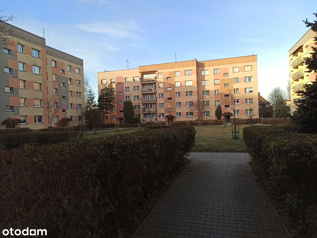 Mieszkanie 35m Katowice Ligota Bezpośrednio Okazja