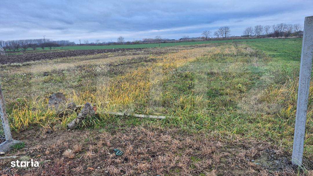 Teren intravilan de vanzare, 15 ari, in Odoreu - Imagine principală: 2/3