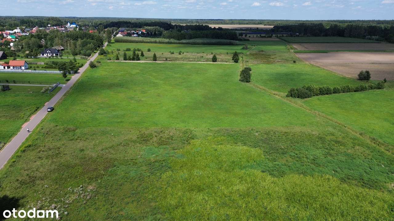 Dubiny - działka 2414 m2 - WZ - piękny widok na Puszczę! - Pełny obrazek: 4/19