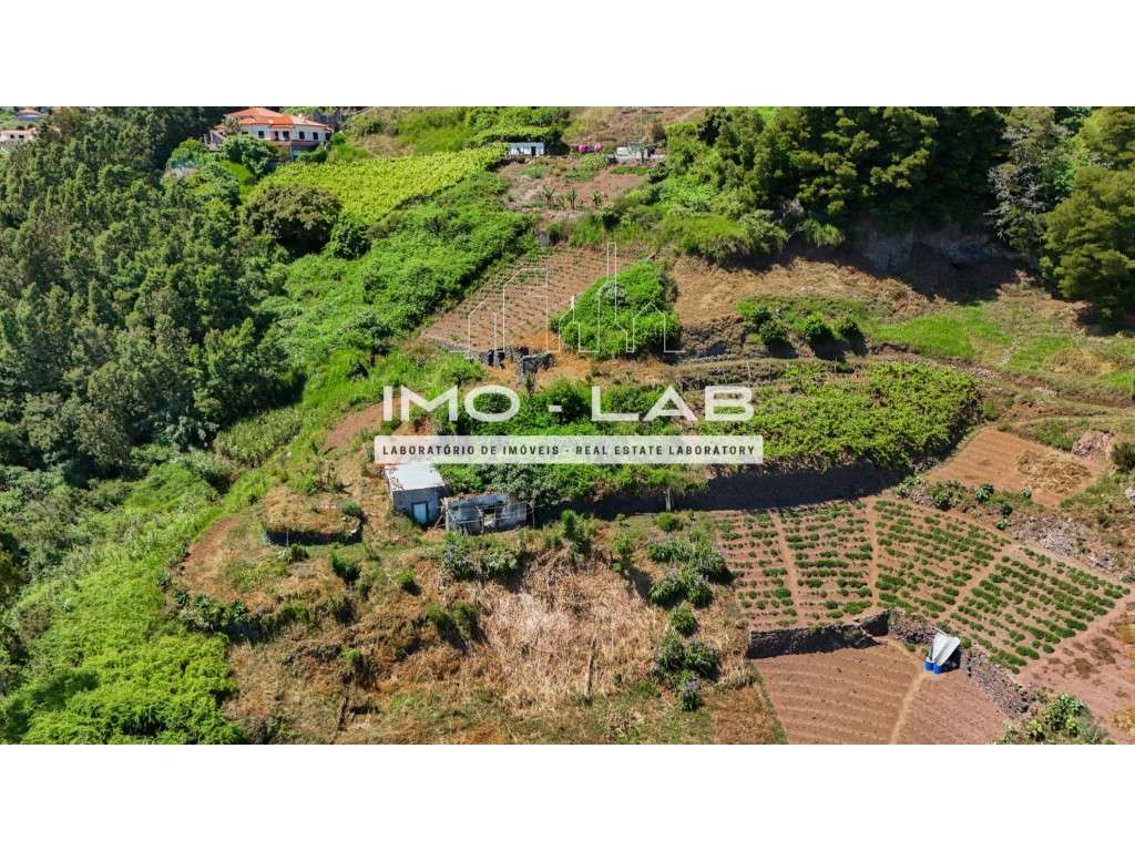 Terreno com 1615m2 - Vista Mar - Câmara de Lobos - Grande imagem: 4/16