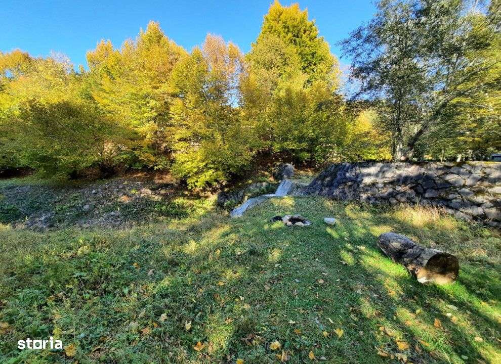 Teren extravilan , 7160 metri Cod:160785 - Imagine principală: 2/5