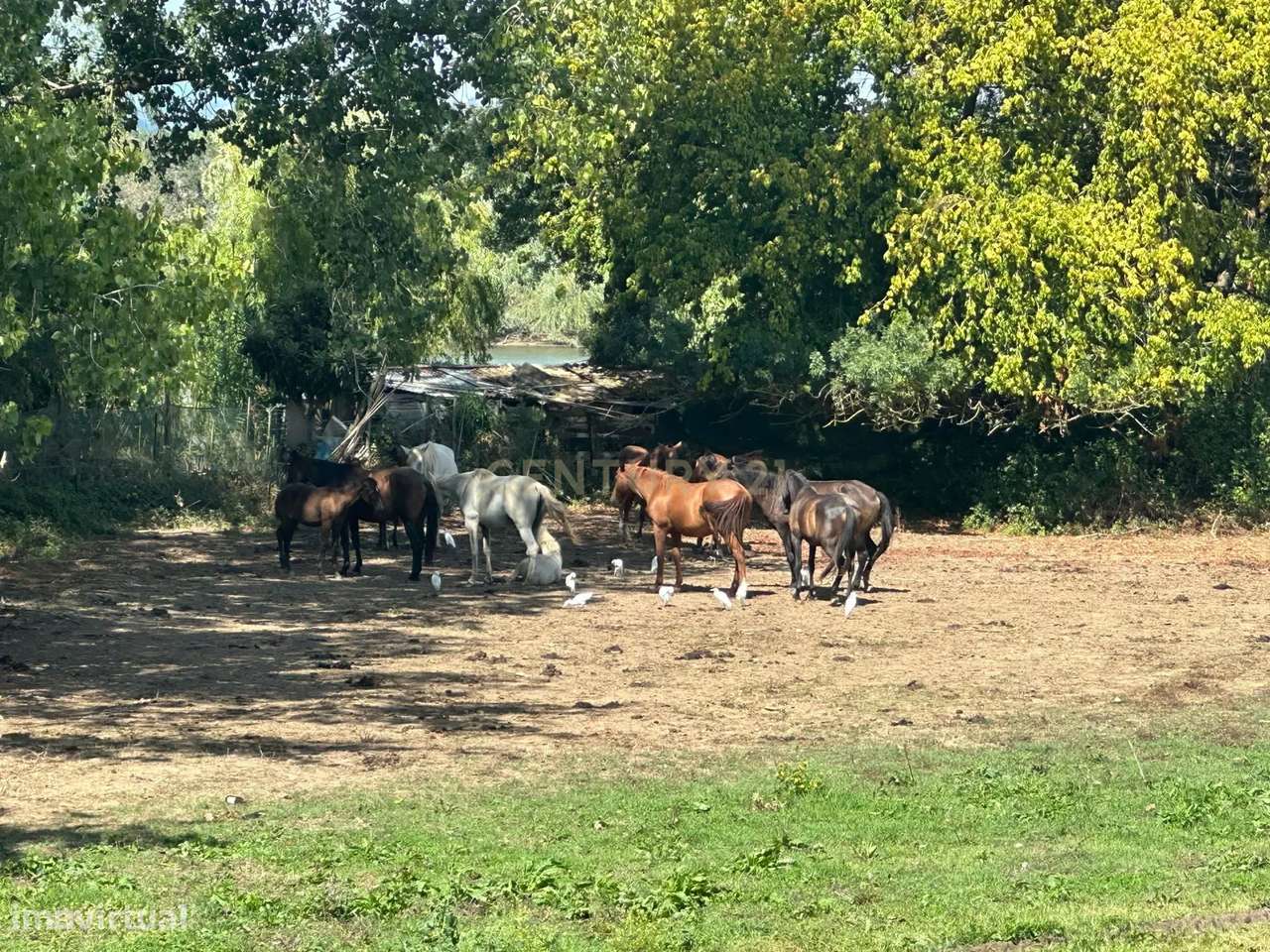 A sua nova casa em Santarém — em obras e pronta para ser personalizada - Grande imagem: 3/33