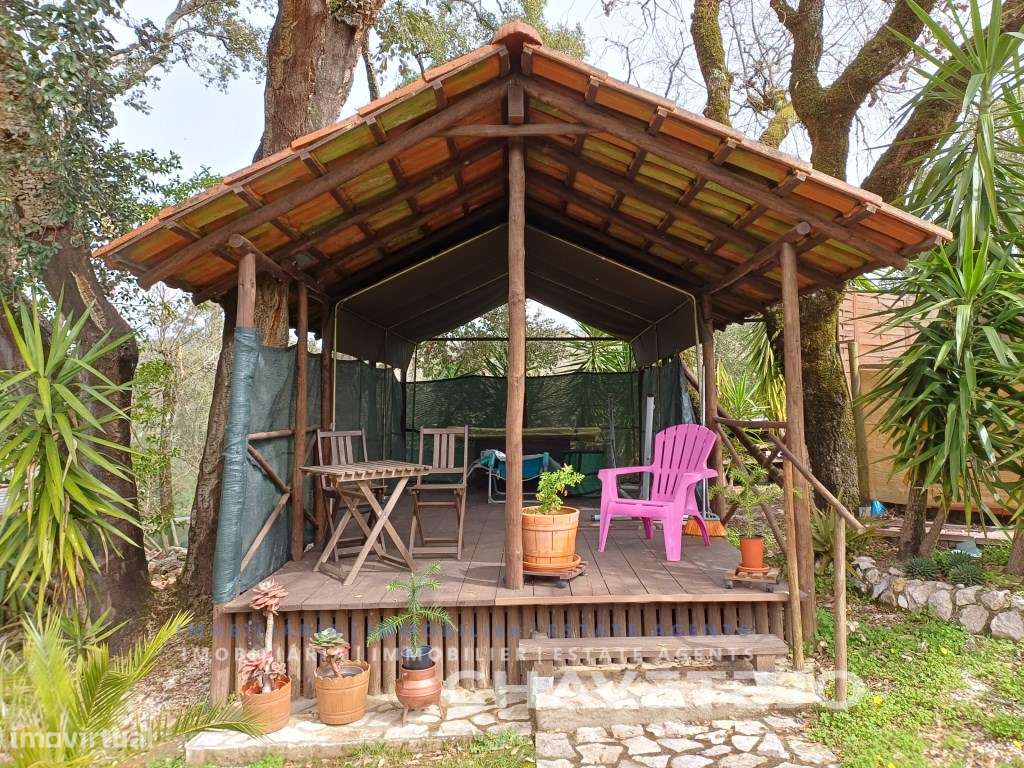 Charmosa casa de campo com 2 quartos, uma casa de banho, sala, cozi...-52
