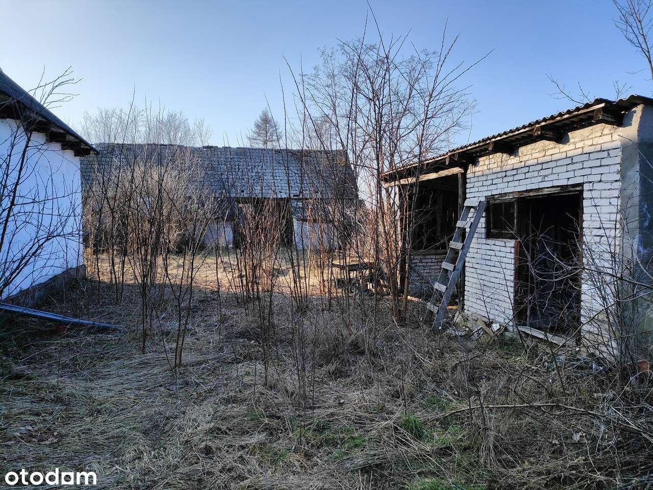 Dom , garaż , stodoła , budynek gospodarczy działka 4200m2 kanalizacja-9