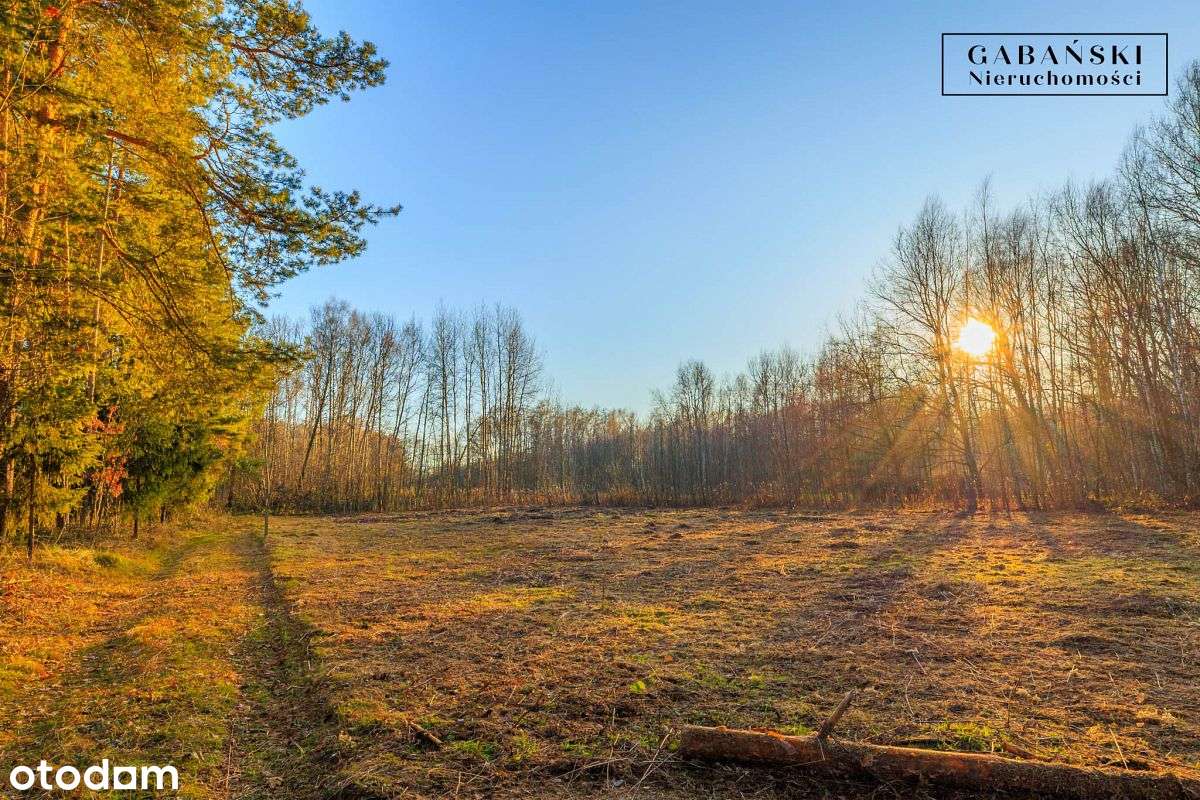 Działka budowlana na sprzedaż - Zaczarnie-10