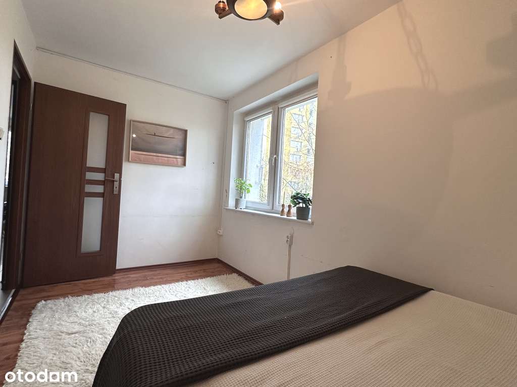 Mieszkanie z osobną kuchnią, możliwość 3 pokoi-2