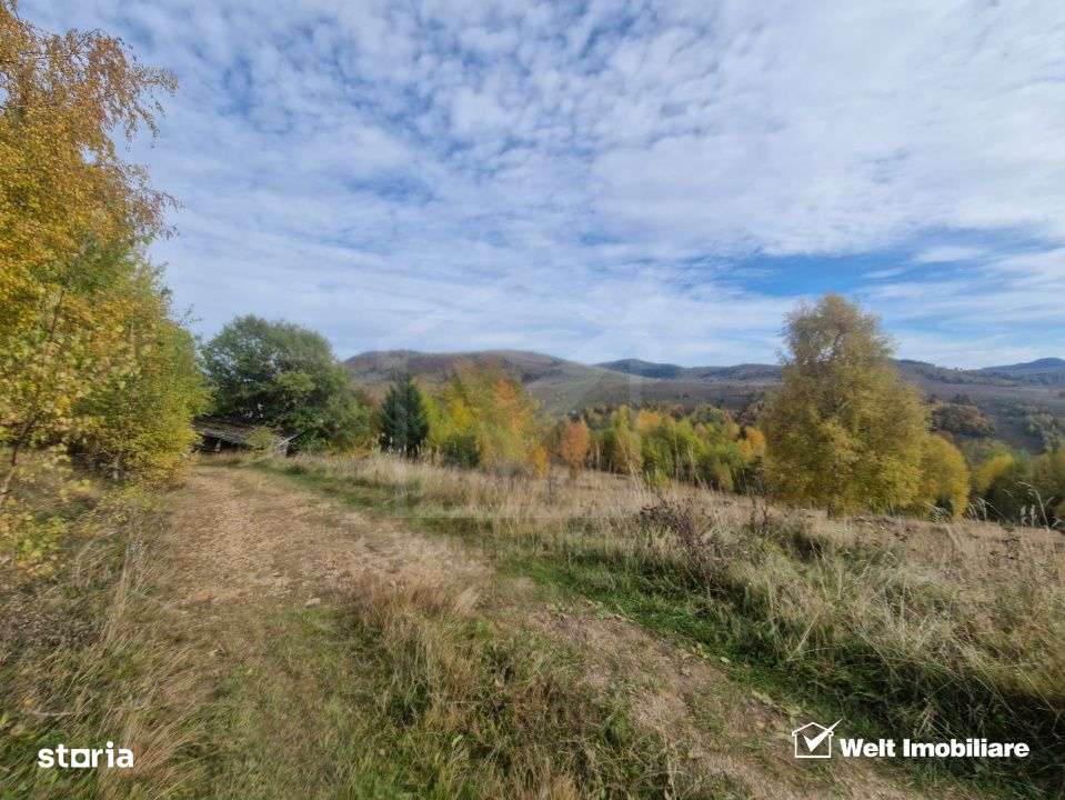 Teren de vanzare – Muntele Baisorii, 1000 mp, vedere spre rezervatia - Imagine principală: 3/9