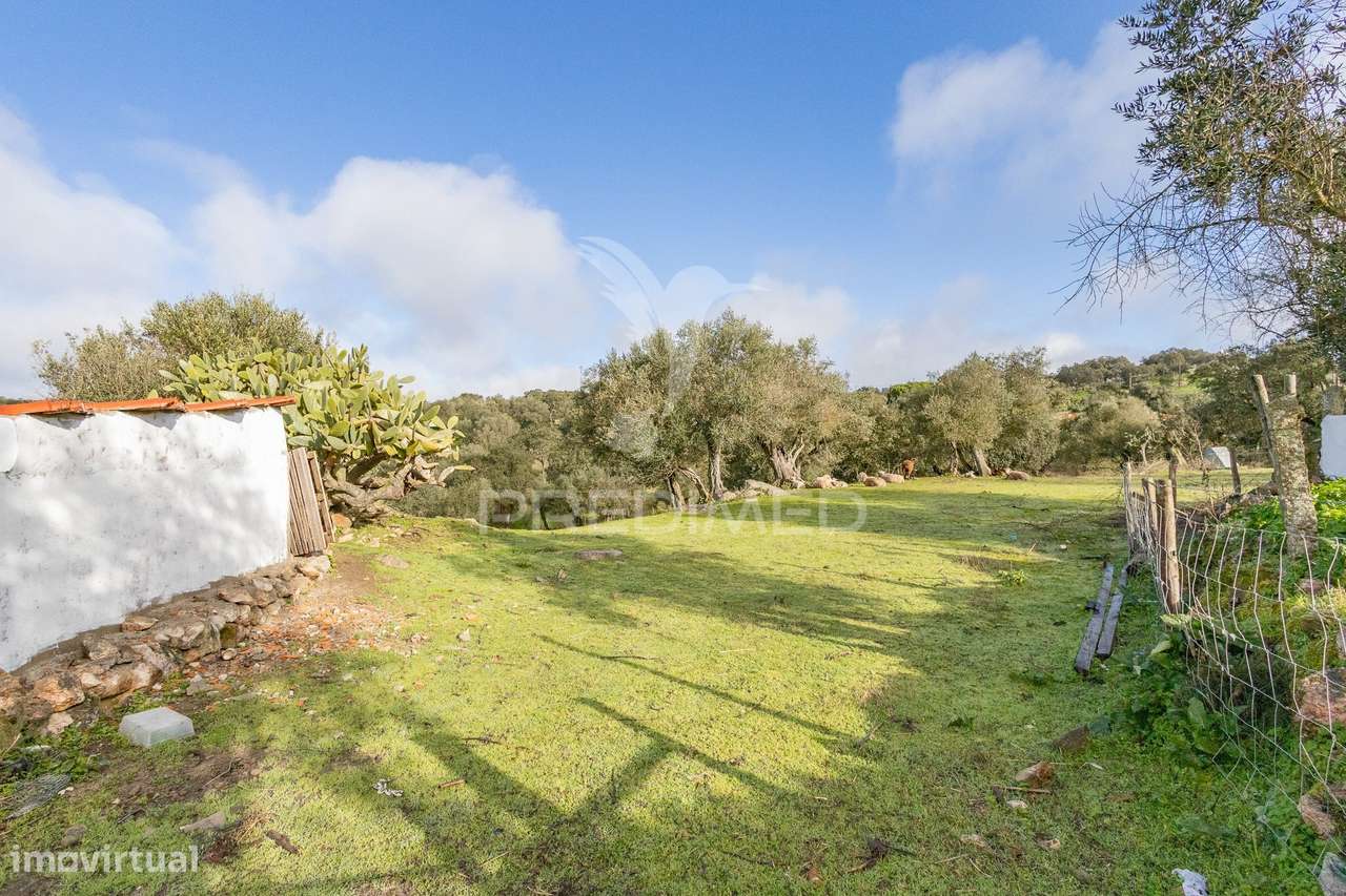 Terreno- Arraiolos, São Pedro da Gafanhoeira - Grande imagem: 5/29