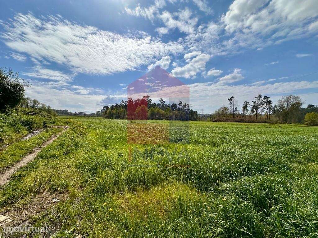 Terreno agrícola, Lanhas - Grande imagem: 2/27