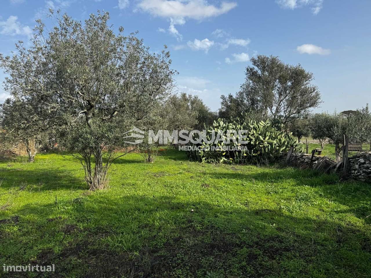 Quintinha T3 Venda em Ourique,Ourique-20