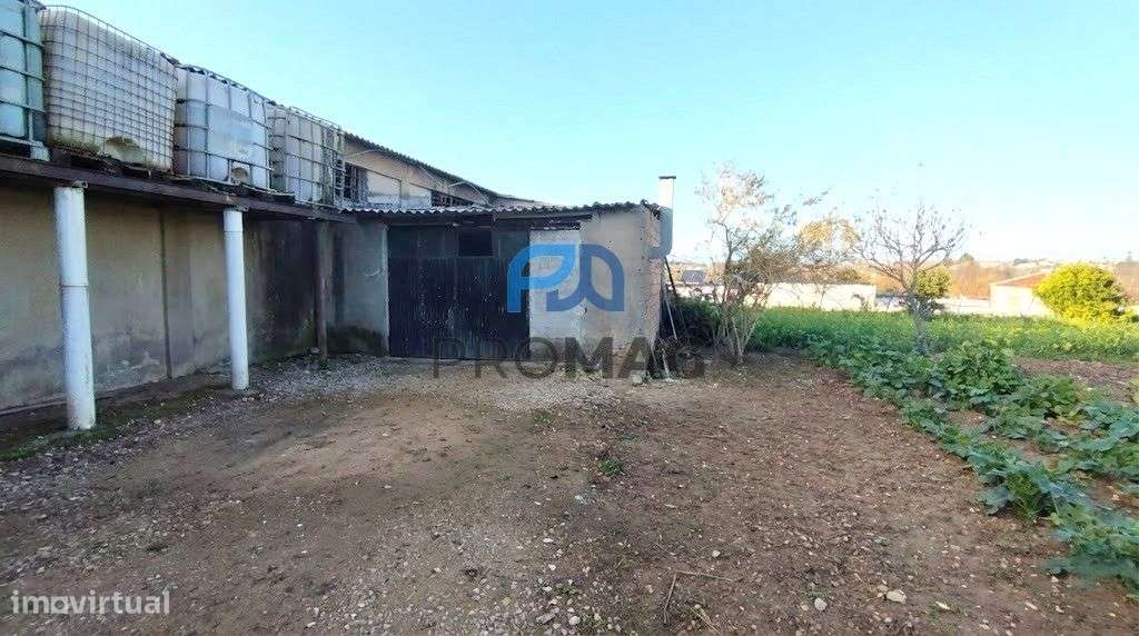 Terreno de 3850 m2 + Armazém | Potencial para Moradias-13