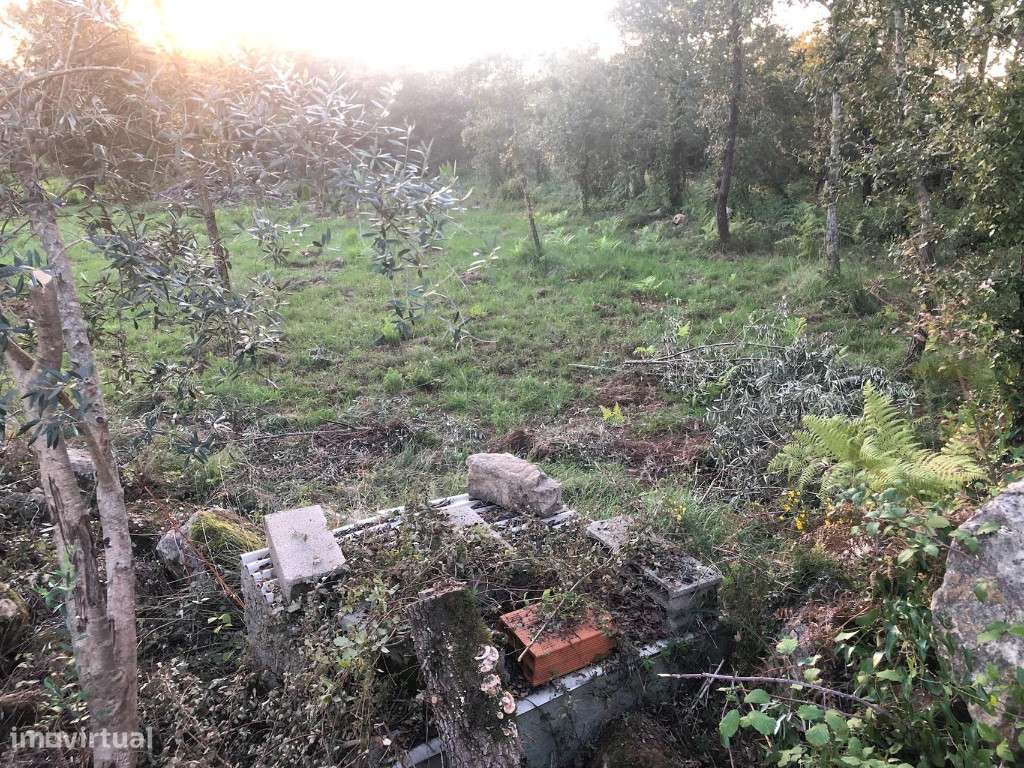 Terreno para construção , Cernache - Grande imagem: 3/5